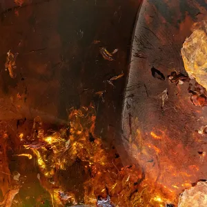 Natural Amber Mineral Specimen